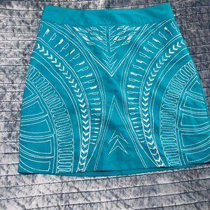 Turquoise Skirt with Silver Embroidery - Gorgeous!